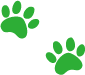 猫の足跡